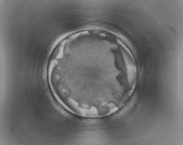 X0000112750862200910011152