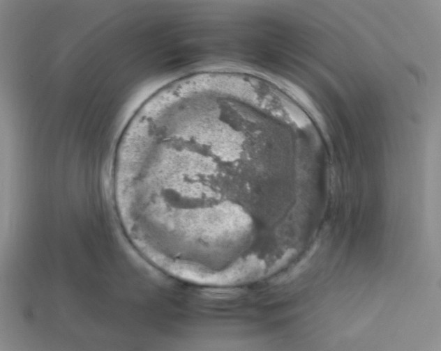 X0000112750863200910011152