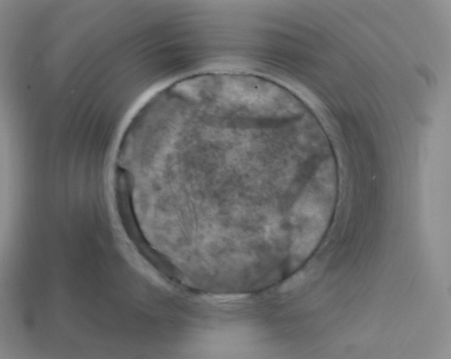 X0000112750864200910011152