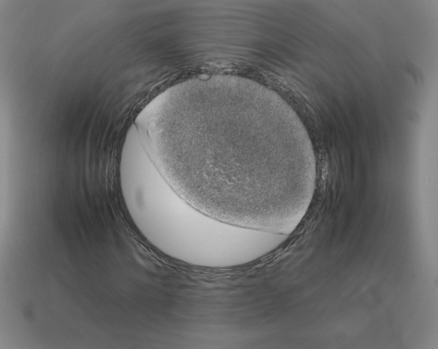 X0000112750868200910011152