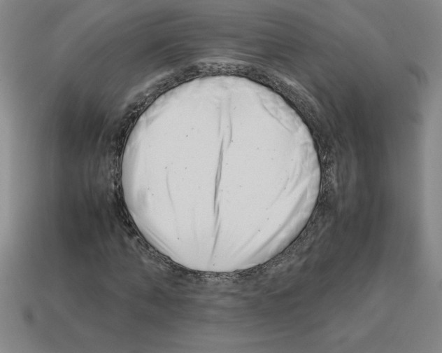 X0000112750870200910011152