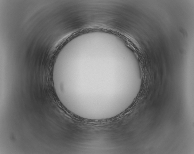 X0000112750872200910011152