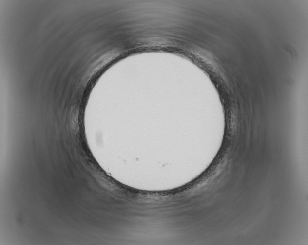 X0000112750873200910011152