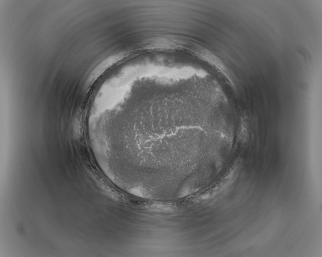 X0000112750874200910011152