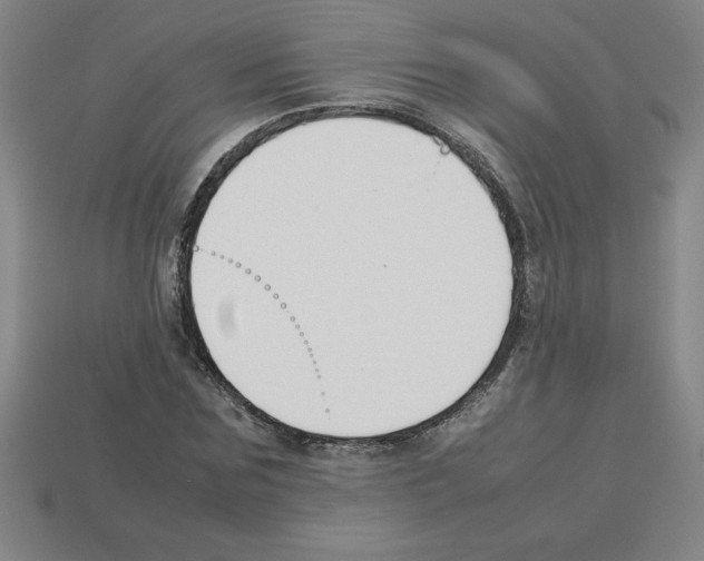 X0000112750875200910011152