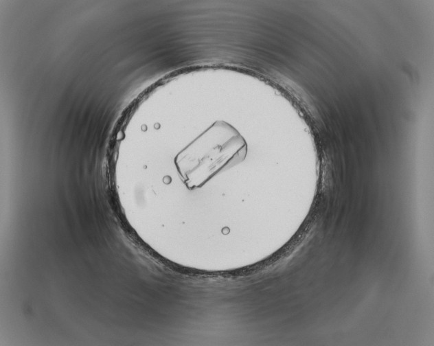 X0000112750876200910011152