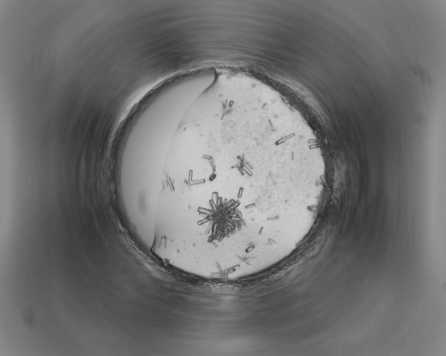 X0000112750878200910011152