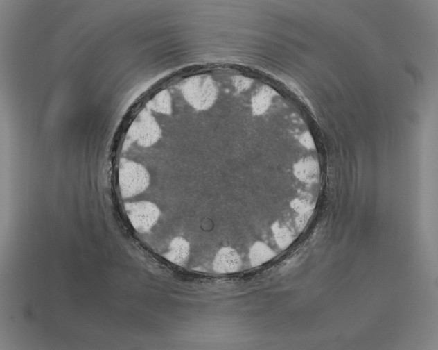 X0000112750879200910011152