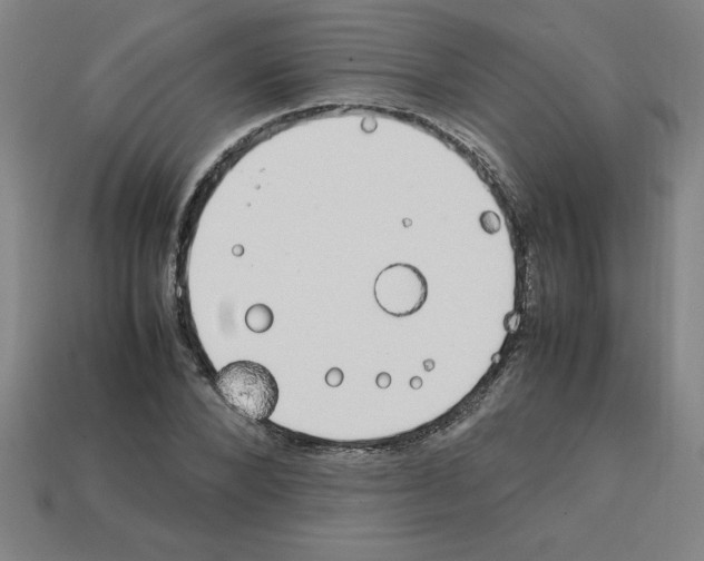 X0000112750880200910011152