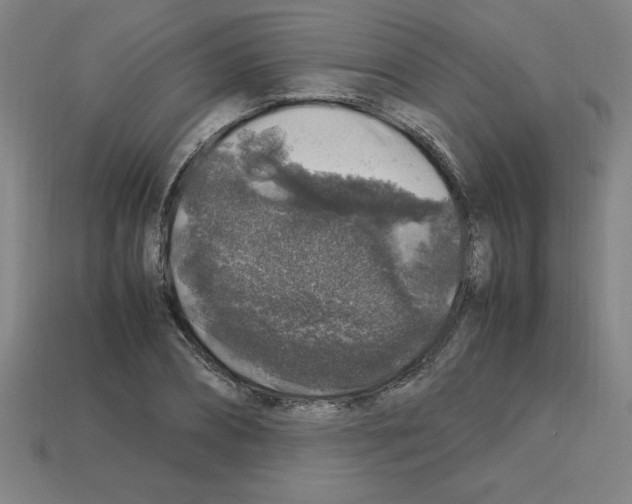 X0000112750882200910011152