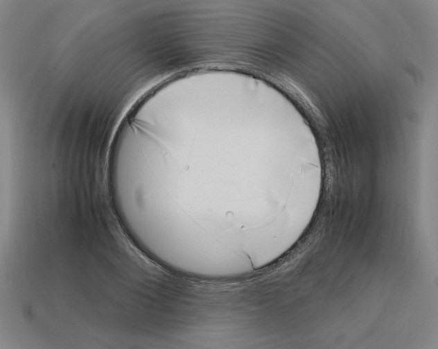 X0000112750884200910011152