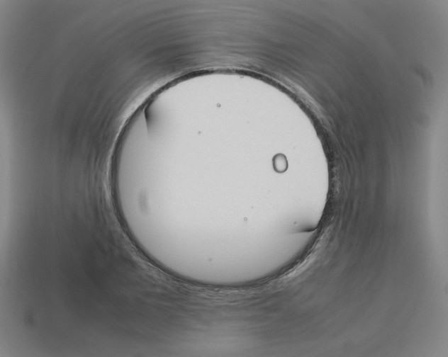 X0000112750885200910011152