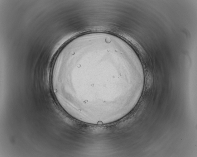 X0000112750886200910011151