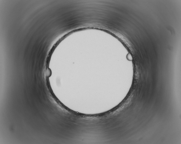 X0000112750888200910011151