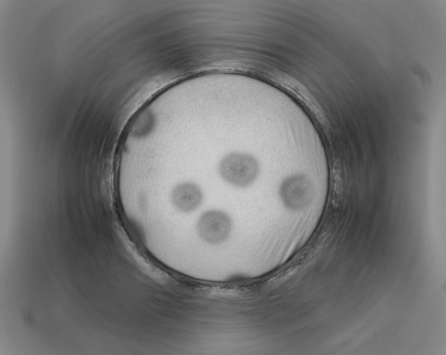 X0000112750890200910011151