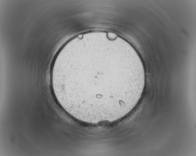 X0000112750891200910011151