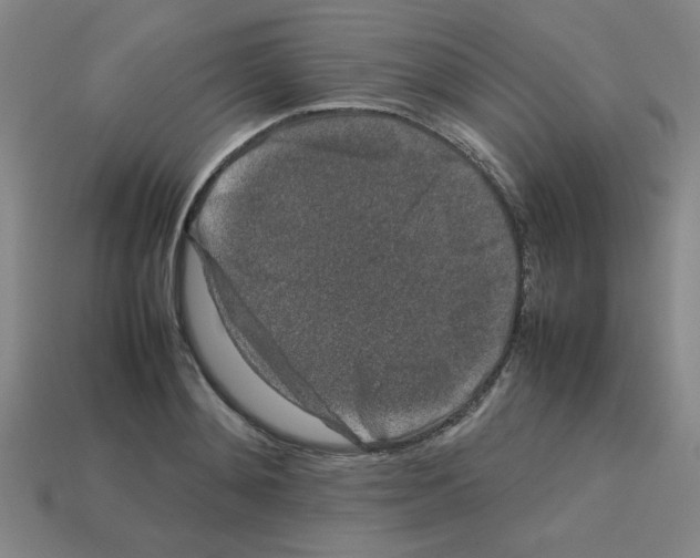 X0000112750892200910011151