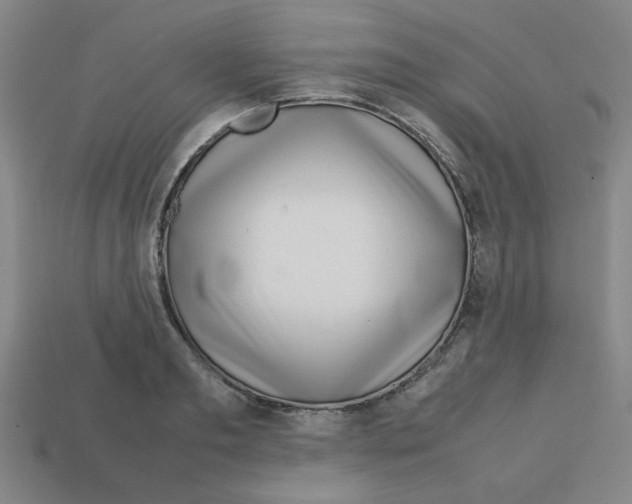 X0000112750893200910011151