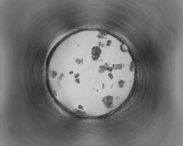 X0000112750894200910011151