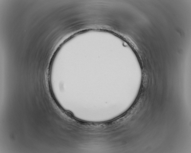 X0000112750895200910011151