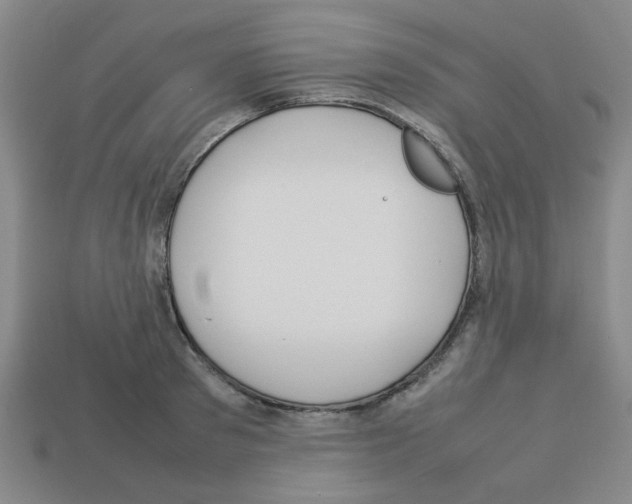 X0000112750897200910011151