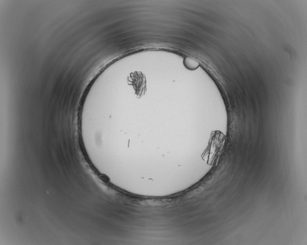 X0000112750898200910011151