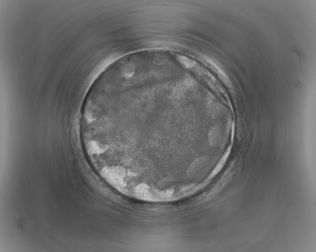 X0000112750899200910011151