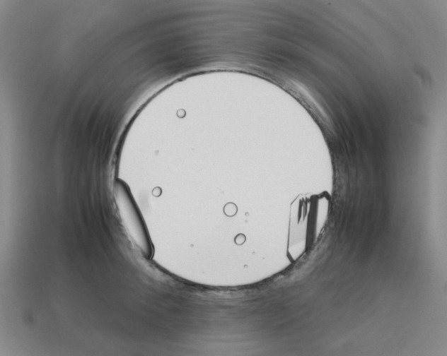 X0000112750900200910011151