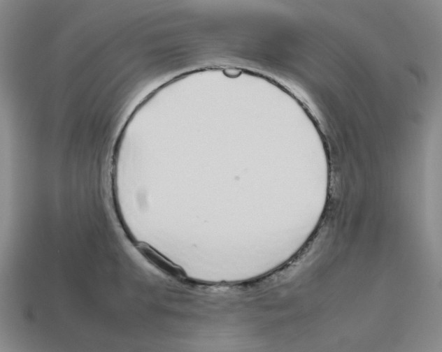 X0000112750903200910011151