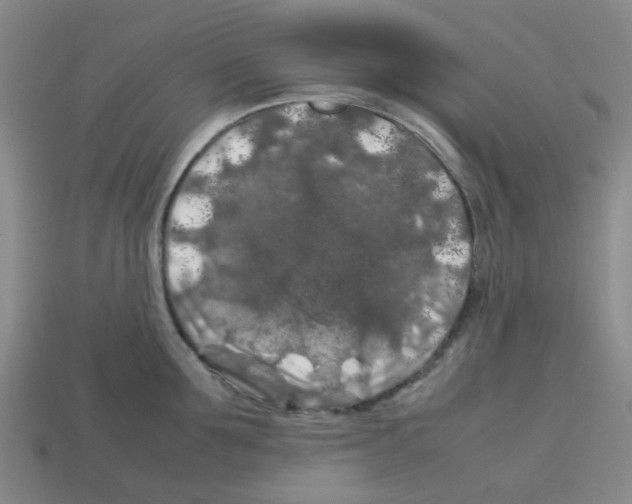 X0000112750907200910011151