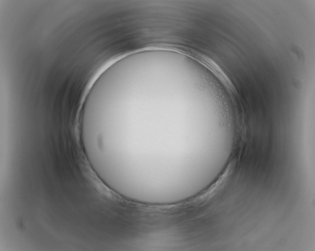 X0000112750908200910011151