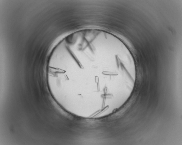 X0000112750910200910011151