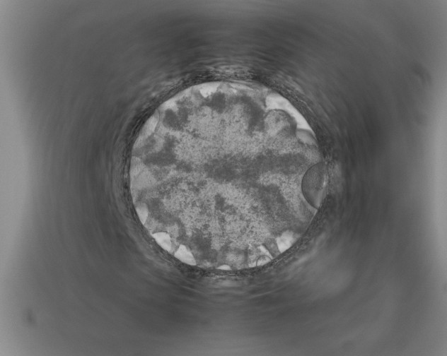 X0000112750913200910011151