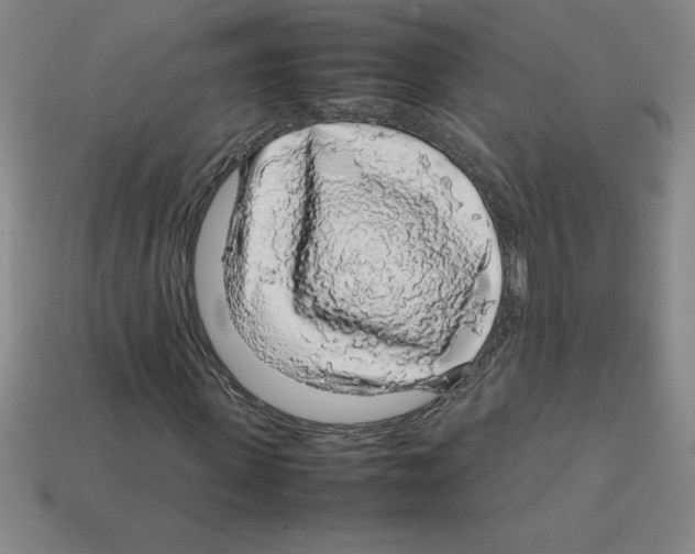 X0000112750915200910011151