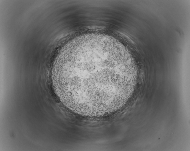 X0000112750917200910011151