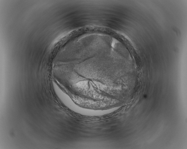 X0000112750919200910011151