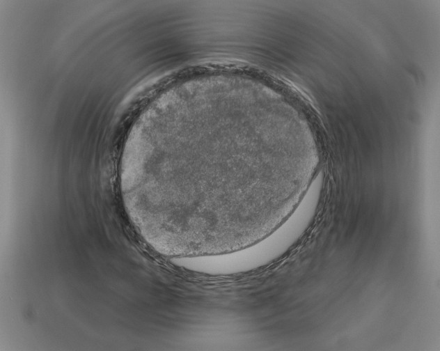 X0000112750920200910011151