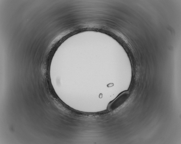 X0000112750922200910011151