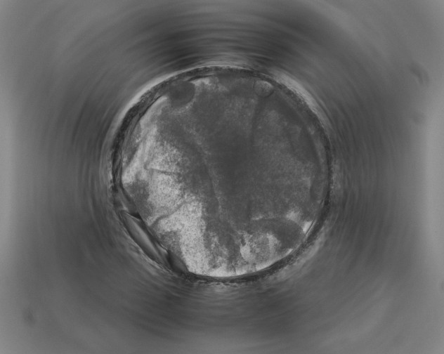 X0000112750923200910011151