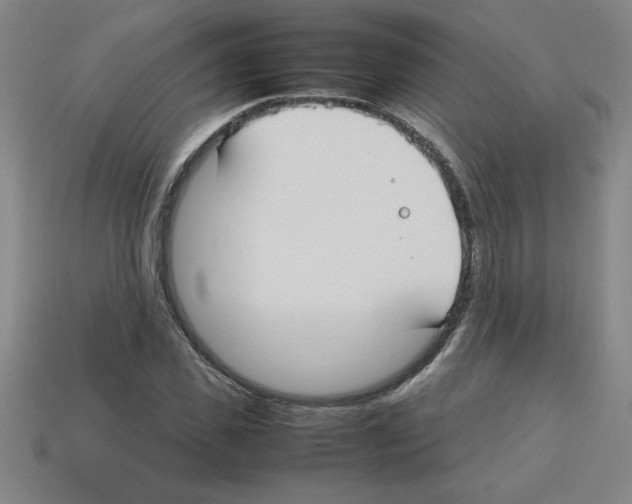 X0000112750925200910011151