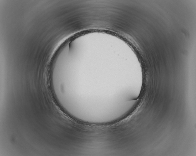 X0000112750926200910011151