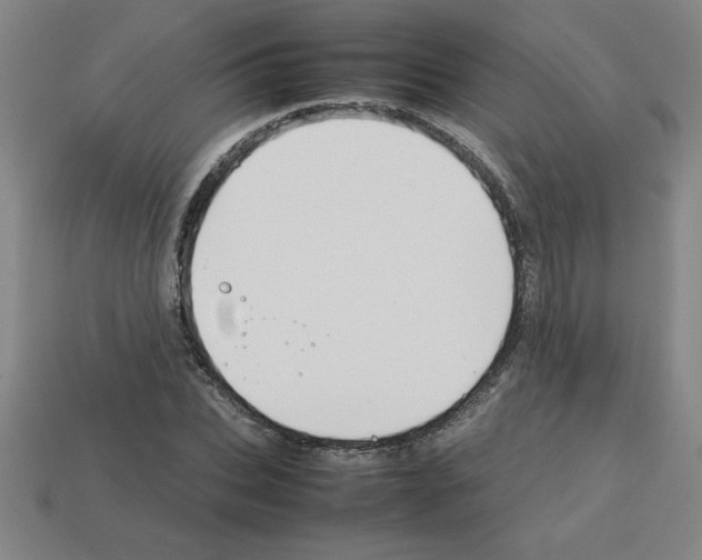 X0000112750927200910011151