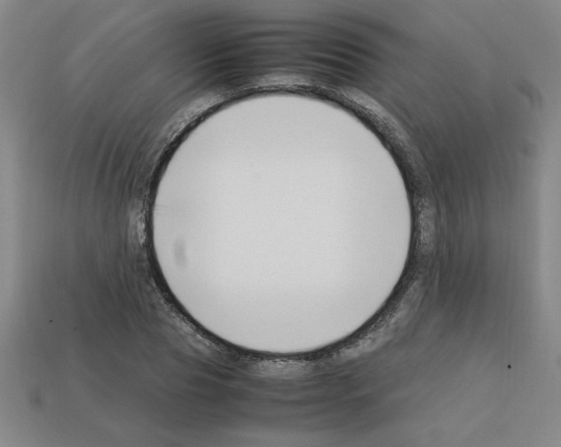 X0000112750929200910011151