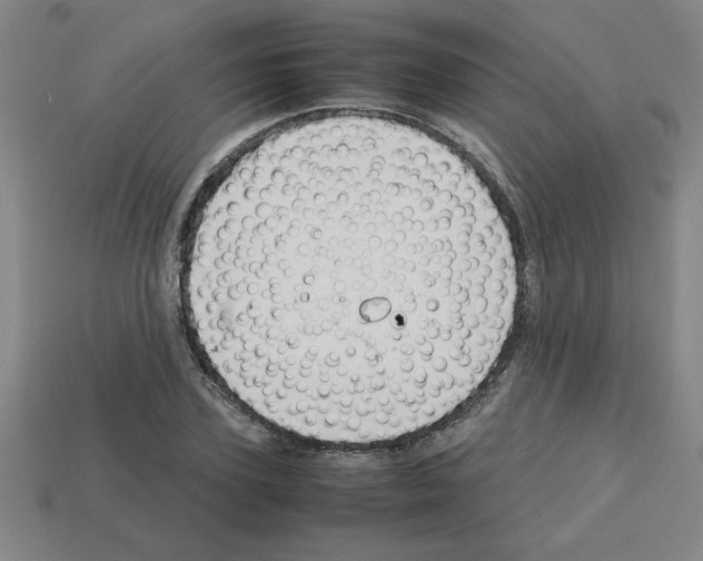 X0000112750931200910011151