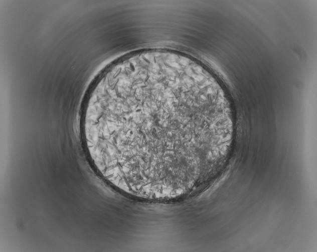 X0000112750932200910011151