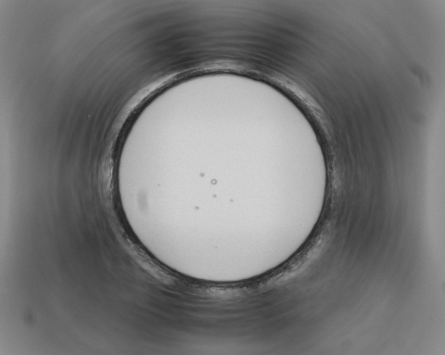 X0000112750933200910011151