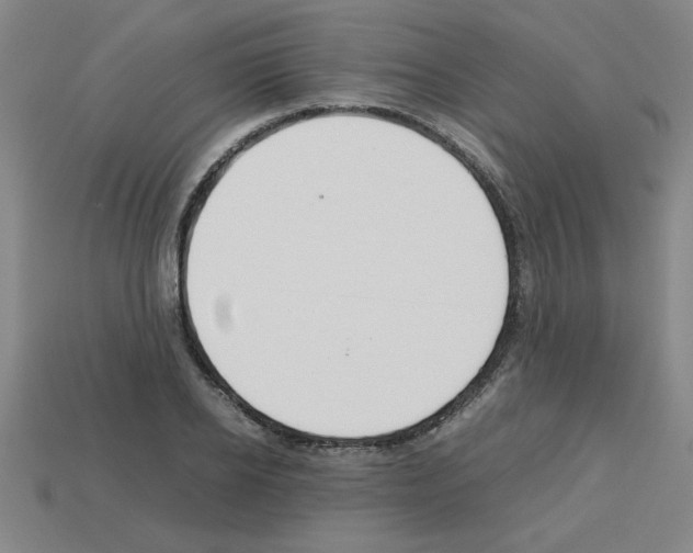 X0000112750934200910011151