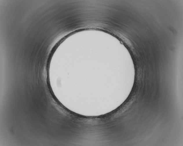 X0000112750936200910011151