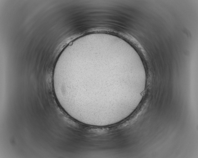 X0000112750937200910011151