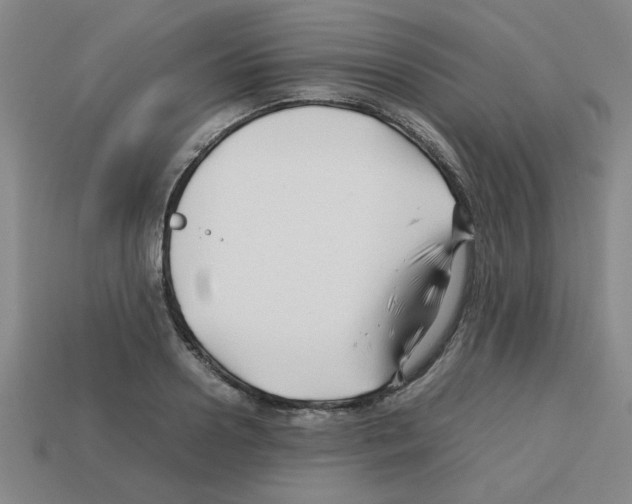 X0000112750938200910011151